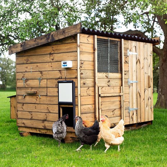 The Sherwood Chicken Shed  Handmade Wooden Chicken Coop UK